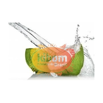 Agua de Coco Sococo 1L
